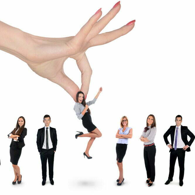 employment background check